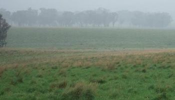 Se mantendrán las lluvias hasta el fin de semana
