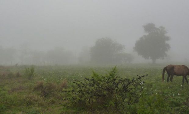 Alerta amarilla por tormentas para la región centro