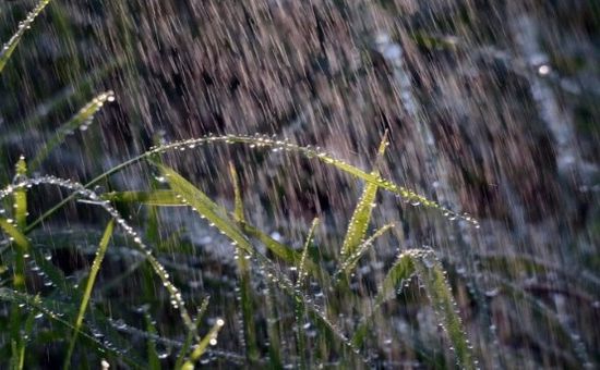 Con la llegada del otoño, vuelven las lluvias al país: un alivio tras la sequía, pero con posibles complicaciones para la cosecha