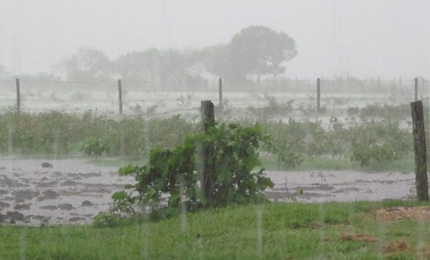 Pronóstico del tiempo: alerta por lluvias intensas en el Litoral