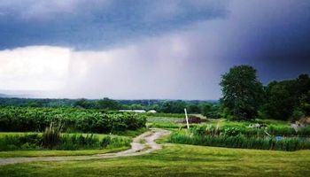 Pronóstico para el agro: día por día, qué puede pasar esta semana con las lluvias