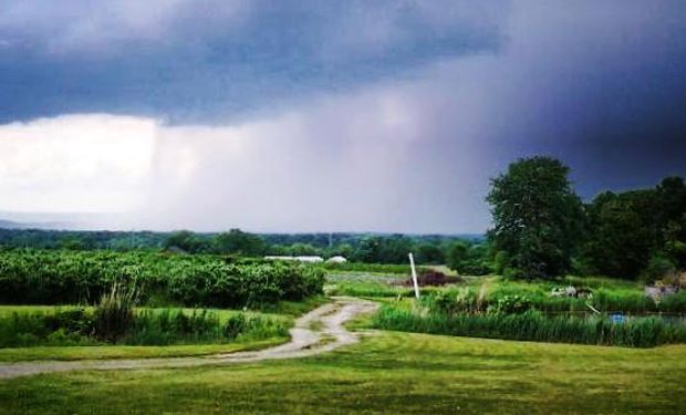 Pronóstico para el agro: día por día, qué puede pasar esta semana con las lluvias