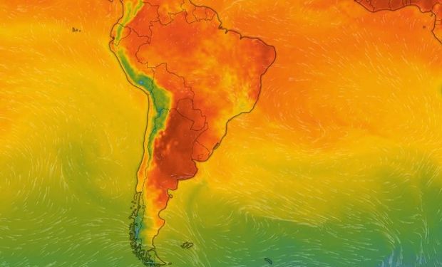 Temperaturas extremas y ausencia de lluvias: el pronóstico que pone bajo riesgo a la soja y el maíz