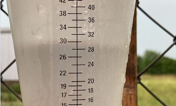 Se mantienen las buenas expectativas de nuevas lluvias: qué dice el pronóstico luego de la tormenta