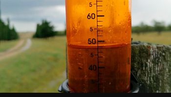 Las lluvias se potencian y se esperan eventos significativos: qué zona tendría los máximos pluviales
