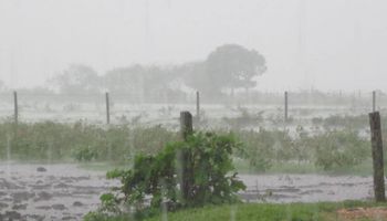 Tormentas en gran parte del país: qué zonas recibirán lluvias
