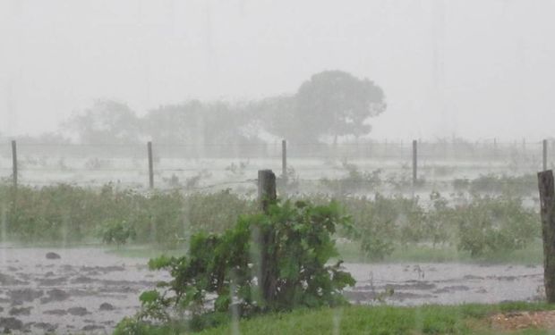 El Servicio Meteorológico emitió un alerta por tormentas y fuertes lluvias para zona núcleo