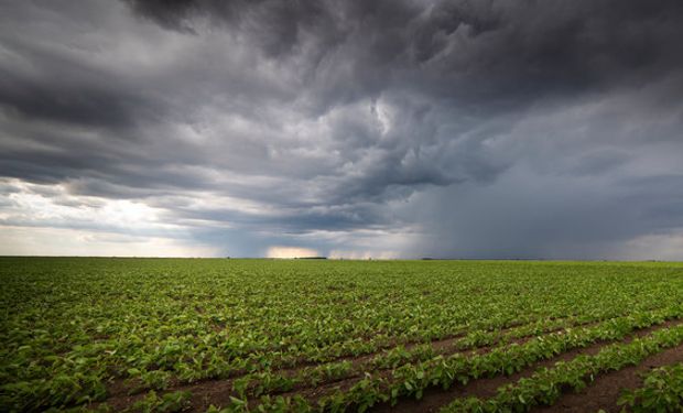 Nuevo pronóstico de El Niño: qué tan fuerte será, hasta cuándo durará y el cambio que aparece tras 4 años de sequía