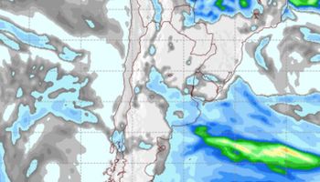 Reaparecen las lluvias y el frío: qué se espera en las áreas trigueras importantes