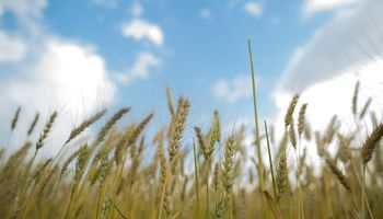 ¿Hasta cuándo sin lluvias en el centro del país?: día por día, el pronóstico del tiempo para el agro