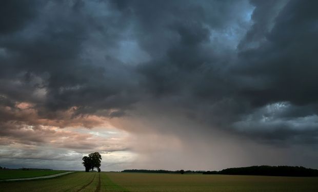El pronóstico para el agro: qué puede pasar con las lluvias y las temperaturas y cómo están las reservas de humedad