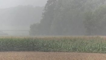 Cómo va a estar el tiempo hasta noviembre: las zonas que recibirán nuevas lluvias en los próximos días