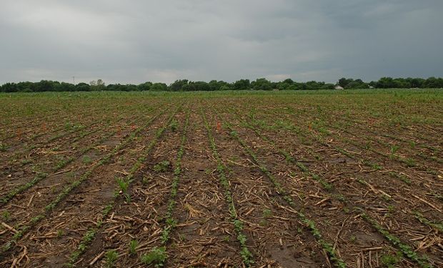 Las lluvias dejaron hasta 100 mm en zonas del Litoral: cómo sigue ahora el tiempo en el campo