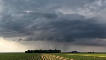 Las lluvias significativas que aparecen en el horizonte y algunas heladas en pleno enfriamiento: qué dice el pronóstico del tiempo para el agro