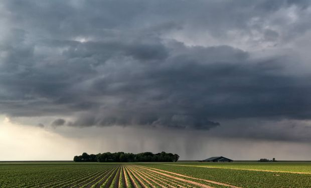 Las lluvias significativas que aparecen en el horizonte y algunas heladas en pleno enfriamiento: qué dice el pronóstico del tiempo para el agro