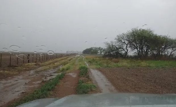 El Niño y las lluvias: qué puede pasar con el clima según el experto del Gobierno