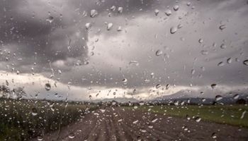 Siguen las lluvias: las zonas más beneficiadas y un "generoso patrón previsto" que podría cambiar el escenario para la gruesa
