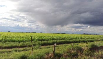 ¿Sin lluvias de importancia? Las zonas que esperan chaparrones mas generosos y un alerta por vientos fuertes