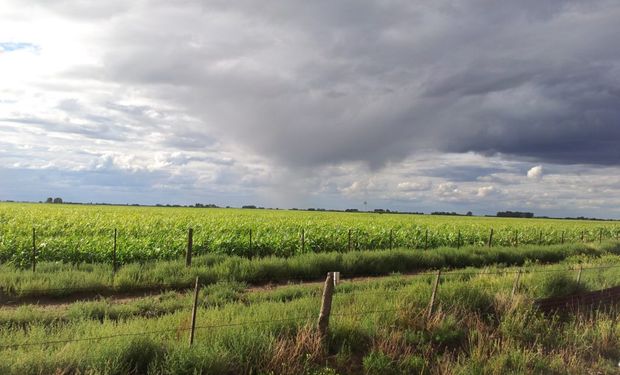 ¿Sin lluvias de importancia? Las zonas que esperan chaparrones mas generosos y un alerta por vientos fuertes