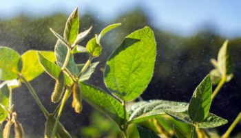 Con lluvias que pueden aparecer el jueves, qué dice el pronóstico y cómo están las reservas de humedad