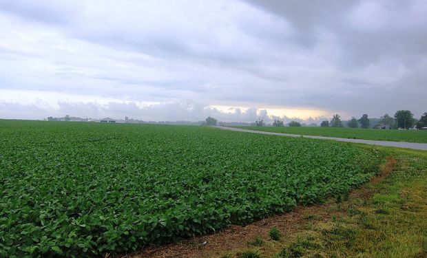 Qué pasa con las lluvias esta semana: día por día, el pronóstico del tiempo (con algunas zonas muy ajustadas)