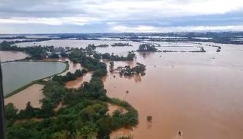 Cuánta soja está en riesgo por las lluvias excesivas de Brasil: las imágenes que reflejan la desesperación de productores