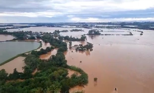 Cuánta soja está en riesgo por las lluvias excesivas de Brasil: las imágenes que reflejan la desesperación de productores