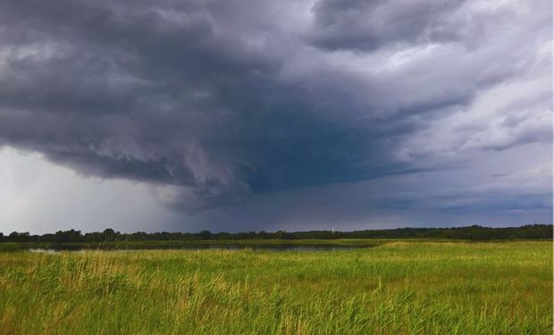 La zona clave para el agro que recibió solo 5 de los 20 mm que necesitaba para el trigo y el maíz: cómo sigue el clima