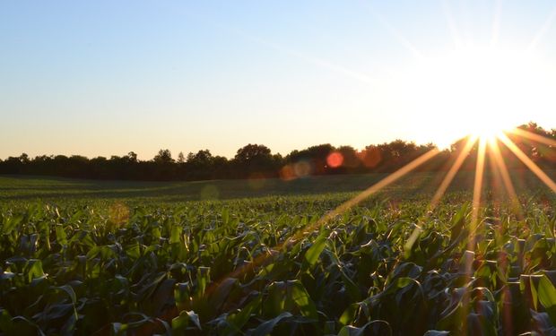 El calor será protagonista de una nueva semana sin lluvias: día por día, el pronóstico de lluvias y temperaturas