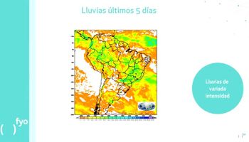 Lluvias interrumpieron siembra de soja, ¿factor alcista?