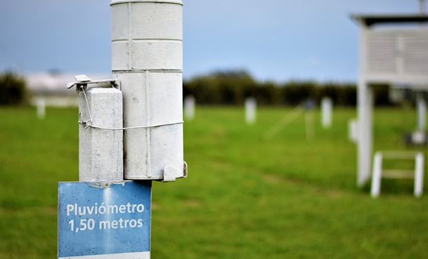 Primeros datos de acumulados de lluvias: en algunas zonas hacia más de cuatro meses que no llovía