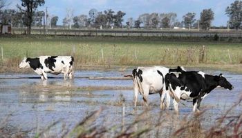 Exportación de lácteos cayó por problemas climáticos y por los precios