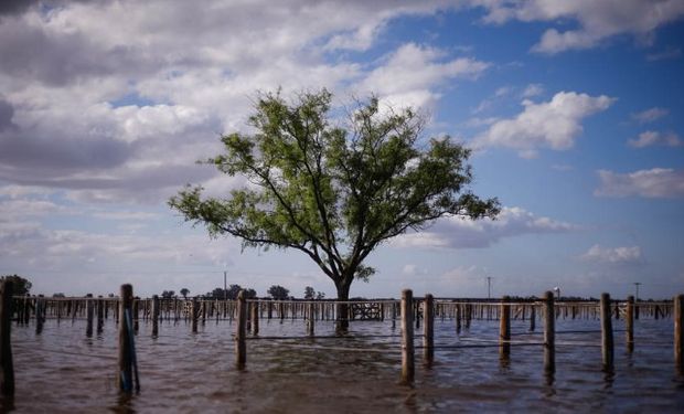 Sembrarán 30% menos de soja en General Villegas. Foto: La Nación.