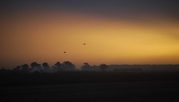Temperaturas bajas y viento intenso: el pronóstico del tiempo para lo que resta de la semana
