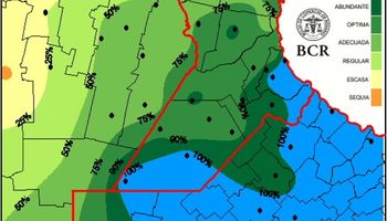 Buenos Aires: lluvias dejaron al 50% de los trigos en condición regular