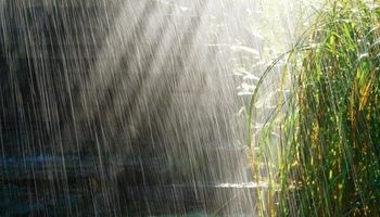 Nuevamente las lluvias fueron muy escasas en la franja central
