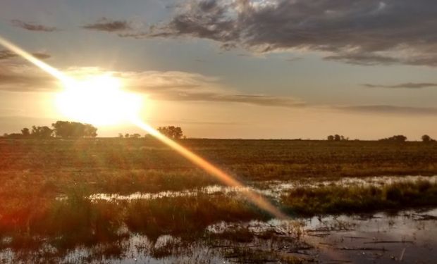 Las lluvias importantes serán para Brasil y en Argentina habrá que dar las gracias por cada milímetro que llegue.