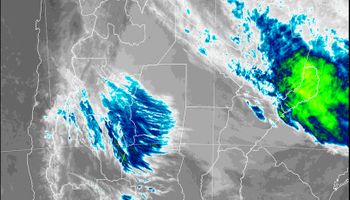 Pronóstico del SMN: alerta por abundantes precipitaciones y tormentas fuertes