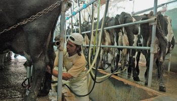 La lechería, ¿con mejores perspectivas?