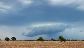 Llegó la lluvia al campo y ahora subió la temperatura (pero se esperan más lluvias): los mapas y el detalle de lo que pasó y lo que vendrá