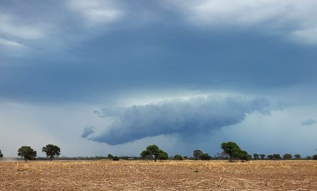 Llegó la lluvia al campo y ahora subió la temperatura (pero se esperan más lluvias): los mapas y el detalle de lo que pasó y lo que vendrá