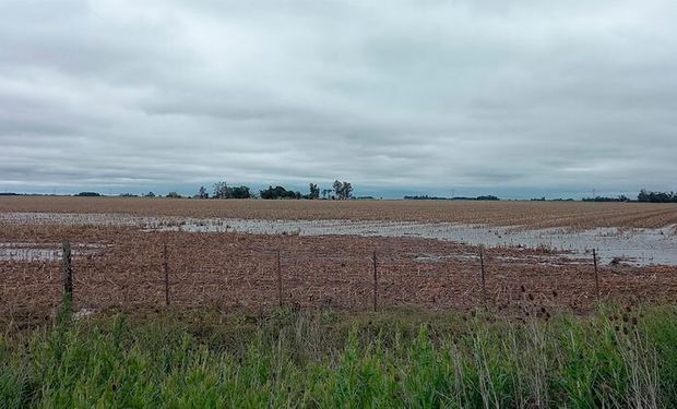 Se complica la cosecha: el pronóstico anticipa lluvias durante la semana