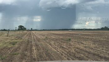 Comienzan a llegar lluvias a una zona necesitada de humedad