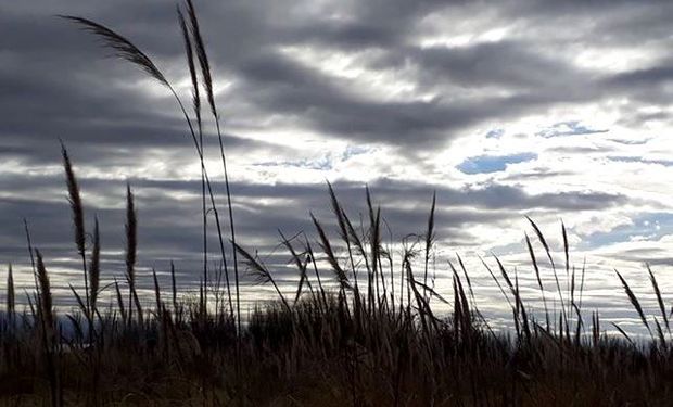 Pronóstico del tiempo: las lluvias siguen presentes en la franja este del país