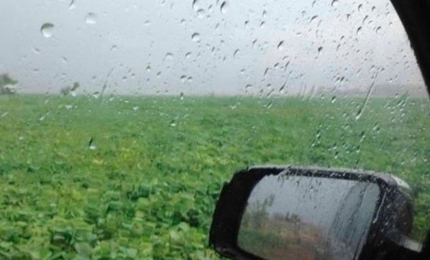 Las zonas que fueron alcanzadas por las últimas precipitaciones de junio