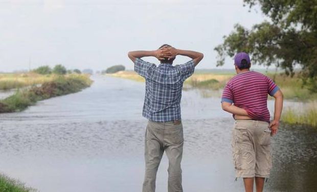 Productores y asesores de la zona afectada cuentan lo que ya sufrieron y esperan regresar a los campos.