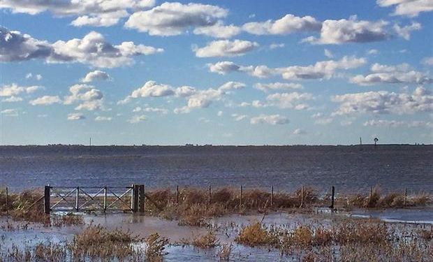 La laguna Mar Chiquita en Junín está desbordada y afecta campos de la zona. Foto: Moutous