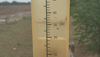 Qué zonas recibieron las lluvias más importantes y cuándo pueden volver las precipitaciones