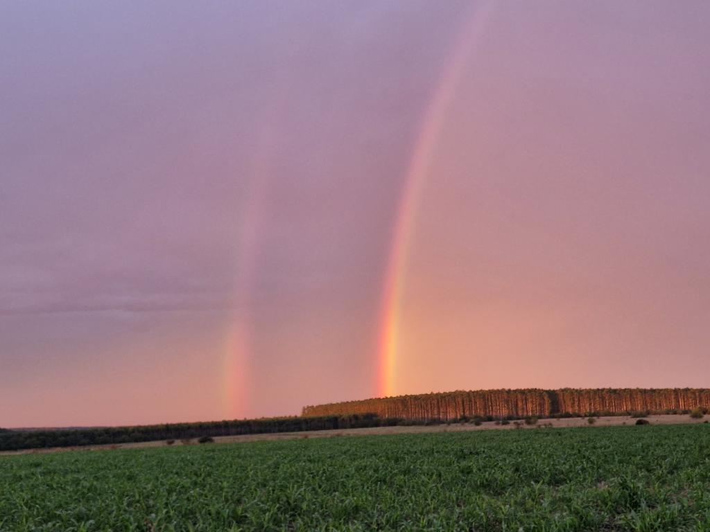 noticiaspuertosantacruz.com.ar - Imagen extraida de: https://news.agrofy.com.ar/noticia/212118/ambiente-se-complico-temperaturas-maximas-que-se-potencian-viene-lluvia