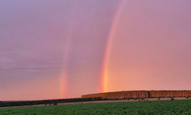 El ambiente se complicó, con temperaturas máximas que se potencian: ¿Viene la lluvia?